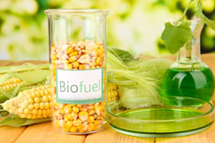 Ysgeibion biofuel availability