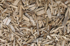 biomass boilers Ysgeibion