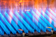 Ysgeibion gas fired boilers